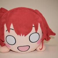 LoveLiveRubyAnimatePlush.jpg